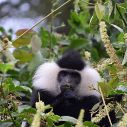 Voyage au Rwanda de la Famille de Sylvain S.
