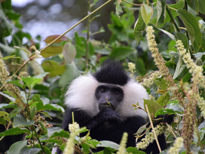 Voyage au Rwanda de la Famille de Sylvain S.