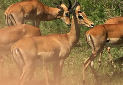 Voyage au Rwanda de la Famille de Sylvain S.