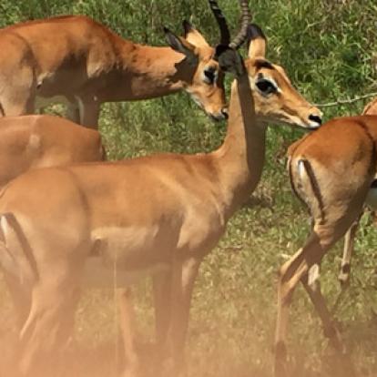Voyage au Rwanda de la Famille de Sylvain S.