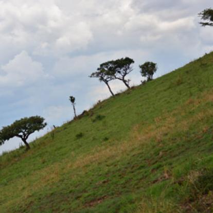 Voyage au Rwanda de la Famille de Sylvain S.