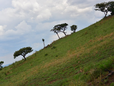 Voyage au Rwanda de la Famille de Sylvain S.