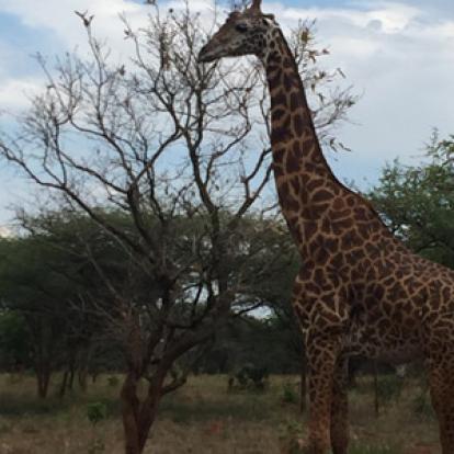 Voyage au Rwanda de la Famille de Sylvain S.