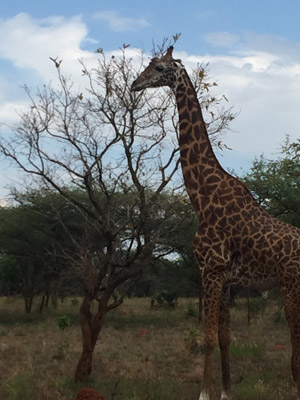 Voyage au Rwanda de la Famille de Sylvain S.