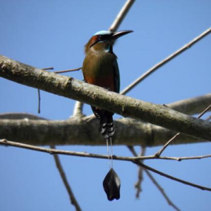 Voyage au Salvador de Bénédicte