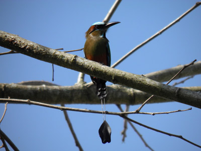 Voyage au Salvador de Bénédicte