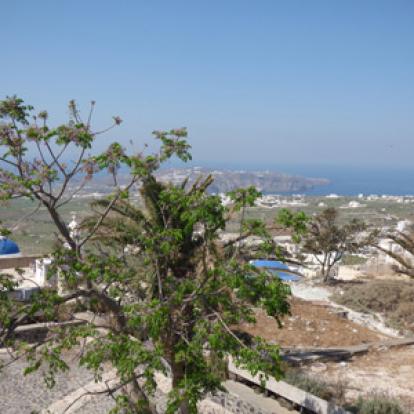Voyage à Santorin de Carole et Pascale