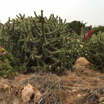 Voyage à Santorin de Christine et Daniel