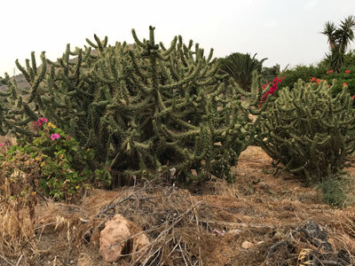 Voyage à Santorin de Christine et Daniel
