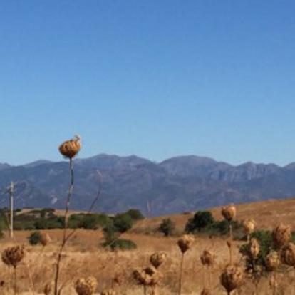 Voyage en Sardaigne de la Famille de Loan