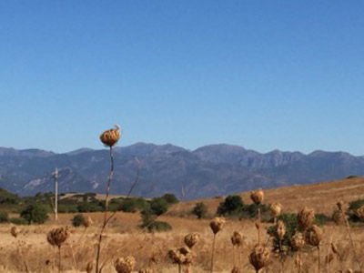 Voyage en Sardaigne de la Famille de Loan