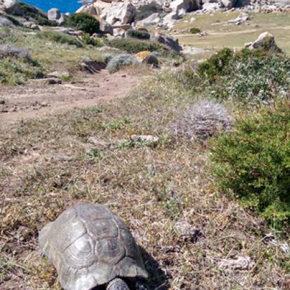 ©Charline F. - Tous Droits Réservés Voyage en Sardaigne de Charline et Franck