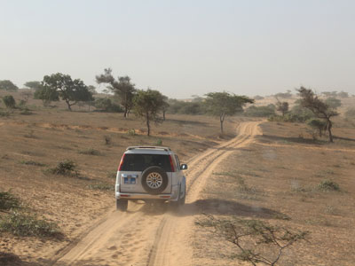 Voyage au Sénégal - Avis de Bernard