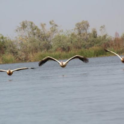 Voyage au Sénégal - Avis de Bernard