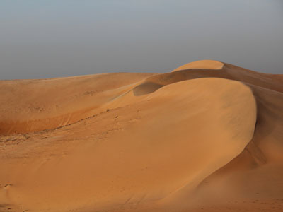 Voyage au Sénégal - Avis de Bernard