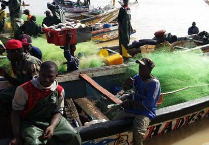 Voyage au Sénégal - Avis de Cédric