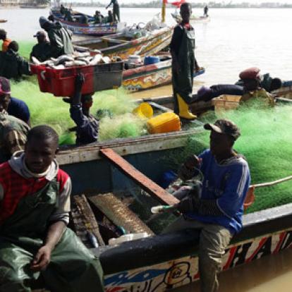 Voyage au Sénégal - Avis de Cédric