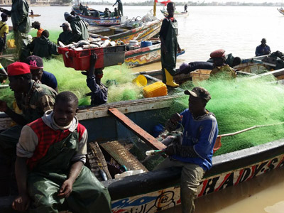 Voyage au Sénégal - Avis de Cédric