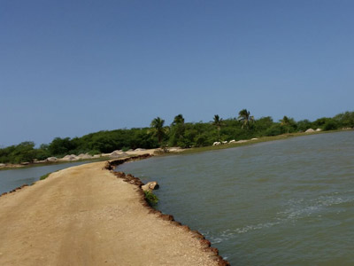 Voyage au Sénégal - Avis de Cédric