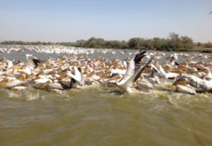 Voyage au Sénégal de Valérie