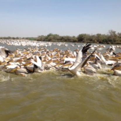 Voyage au Sénégal de Valérie