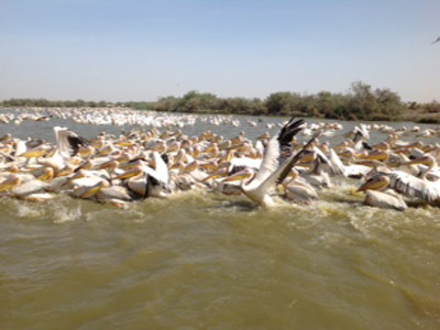 Voyage au Sénégal de Valérie