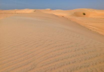 Voyage au Sénégal de Valérie