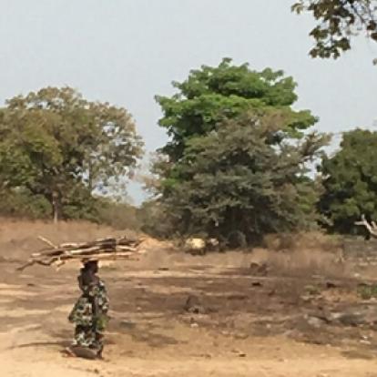 ©Geneviève W. - Tous Droits Réservés Voyage en Sénégal de Geneviève