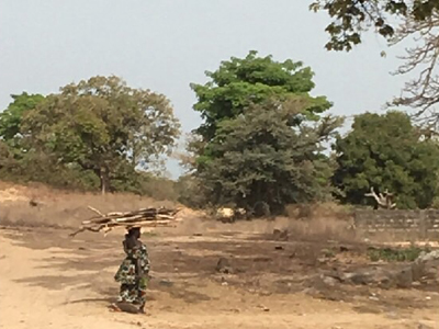 ©Geneviève W. - Tous Droits réservés Voyage en Sénégal de Geneviève