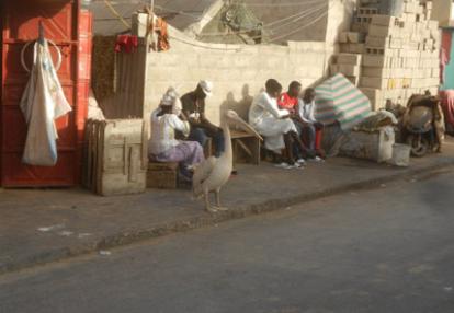 Albreda (Gambie)  Voyage au Sénégal de Pascal et Claire