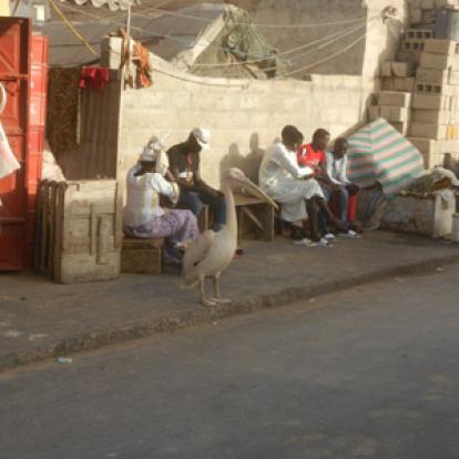 Albreda (Gambie) Voyage au Sénégal de Pascal et Claire