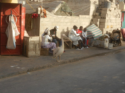 Albreda (Gambie)  Voyage au Sénégal de Pascal et Claire
