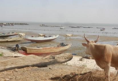 Saint-Louis insolite  Voyage au Sénégal de Pascal et Claire
