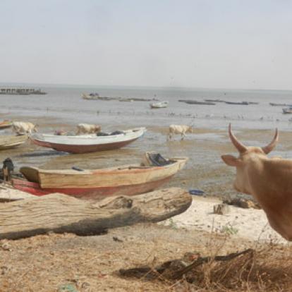 Saint-Louis Insolite Voyage au Sénégal de Pascal et Claire