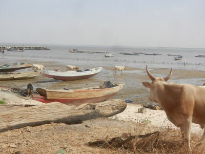 Saint-Louis insolite  Voyage au Sénégal de Pascal et Claire