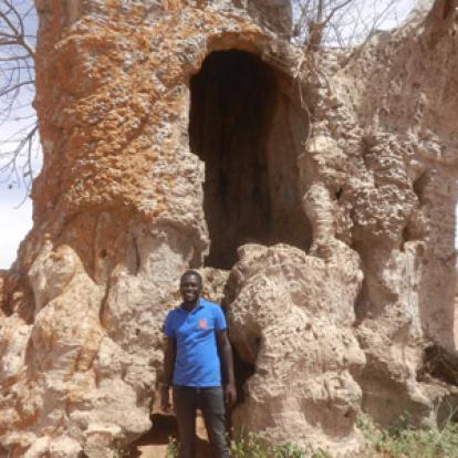 Baobabs Voyage au Sénégal de Pascal et Claire