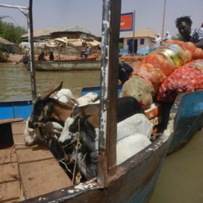 Héron Perché (Gambie) Voyage au Sénégal de Pascal et Claire