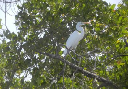 Voyage au Sénégal de Pascal et Claire