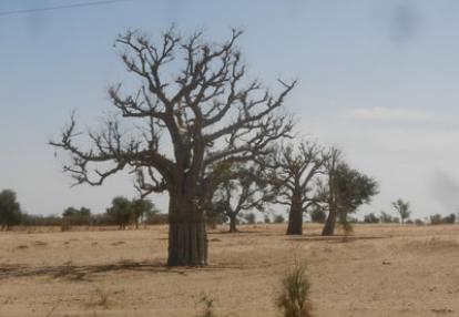 Voyage au Sénégal de Pascal et Claire