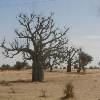 Notre Guide Abdoulaye Voyage au Sénégal de Pascal et Claire