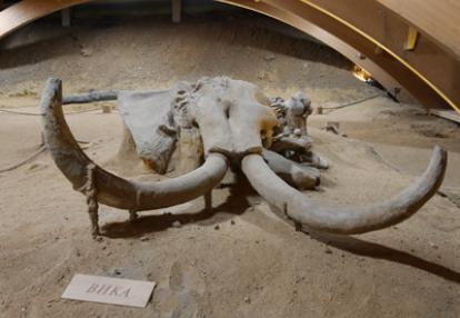 Voyage en Serbie de Jérémy