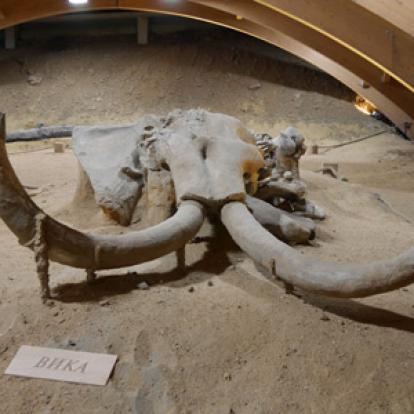 Voyage en Serbie de Jérémy