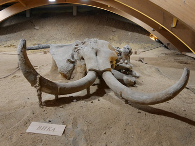 Voyage en Serbie de Jérémy