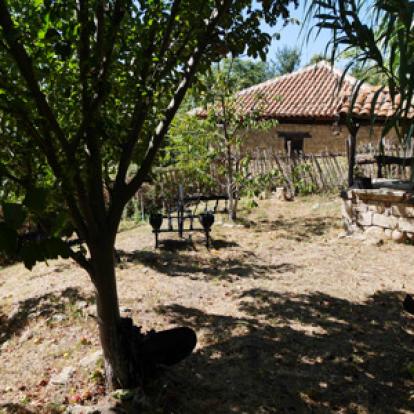 Voyage en Serbie de Jérémy