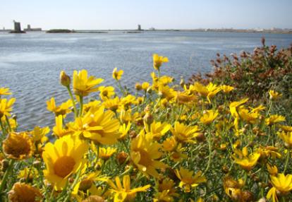 Voyage en Sicile d'Anette