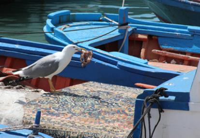 Voyage en Sicile de Marcella