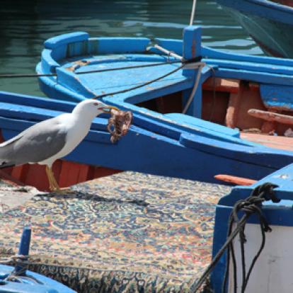 Voyage en Sicile de Marcella