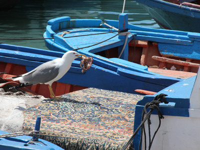 Voyage en Sicile de Marcella