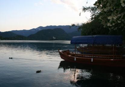 ©Olivia V.D.G. - Tous Droits réservés Lac de Bled