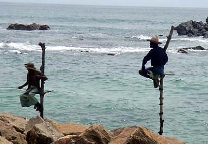 ©Patricia - Tous Droits réservés